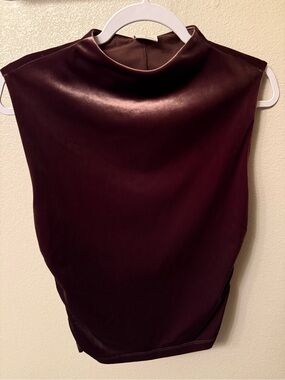 Abercrombie & Fitch Paloma Brown Velvet Top